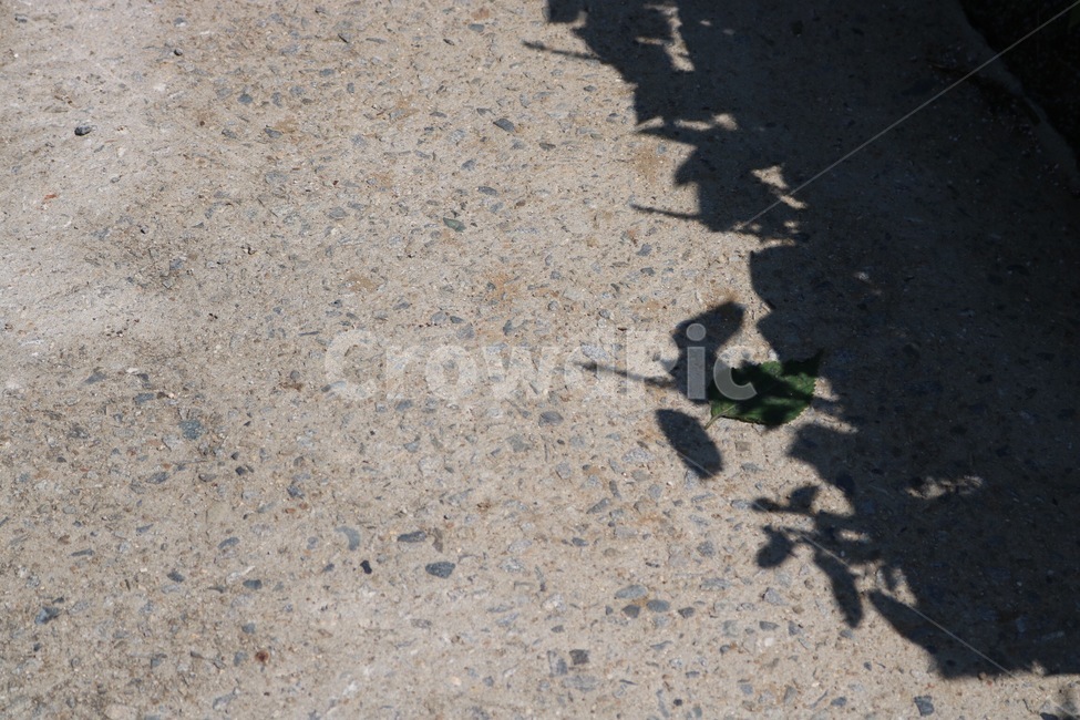 길,햇빛,그림자,감성,road,michi,sunlight,hizashi,shadow,kage