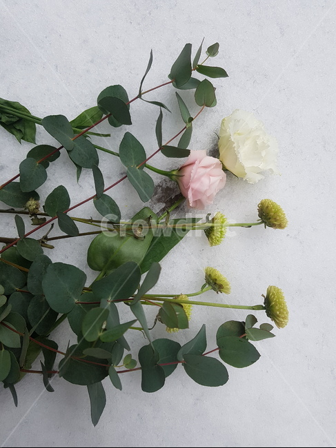 눈,겨울,꽃,식물,하얀색,분홍색,장미,유칼립투스,보타닉,winter,white,pink,꽃다발,첫눈