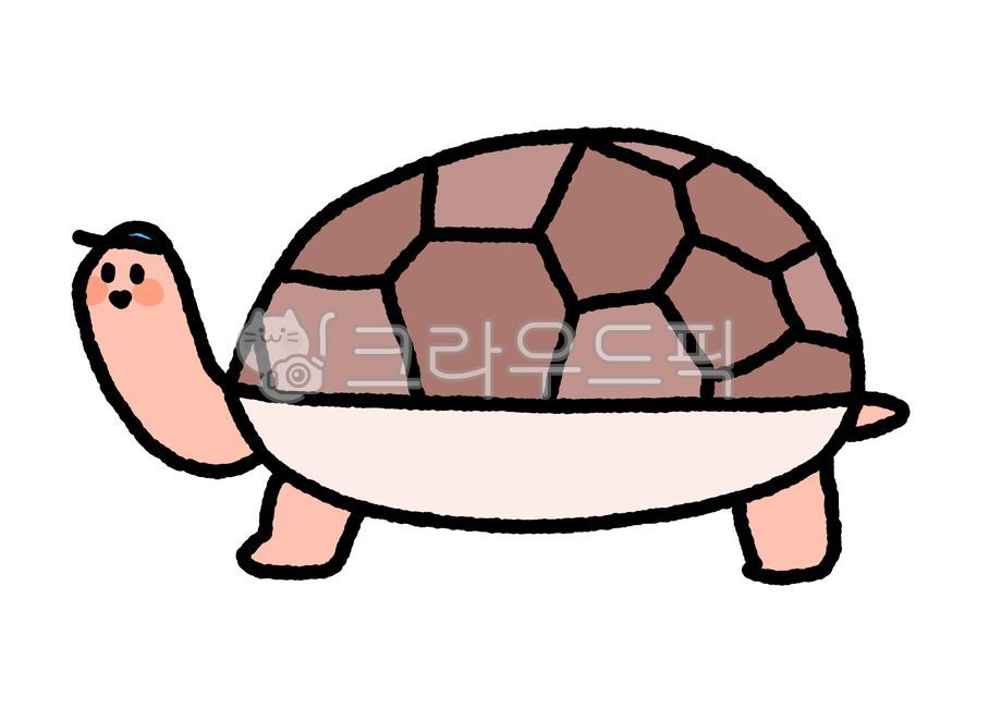 거북이,turtle,거북이그림,거북이일러스트,바다거북이,바다거북,남생이,거북이캐릭터,캐릭터,그림,손그림,일러스트,디자인,illustration,design,character