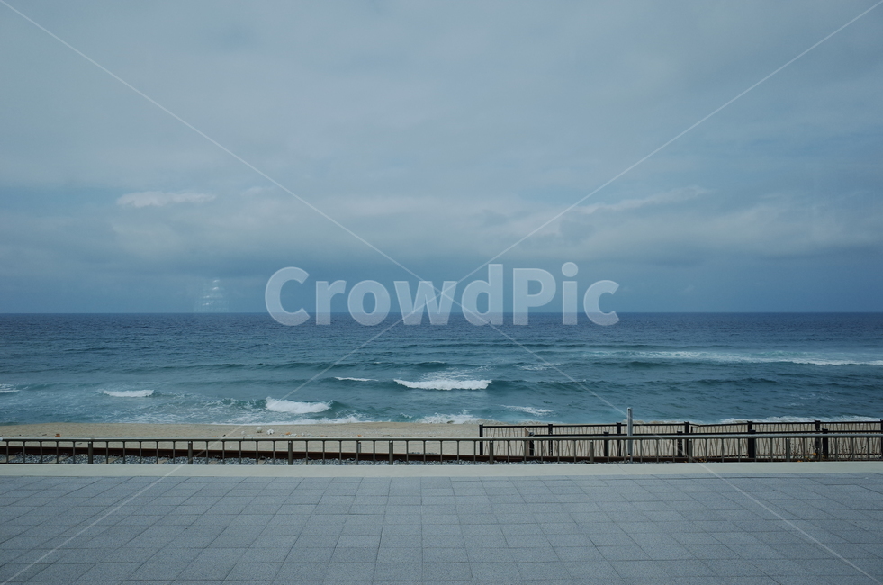 정동진,바다기차,바다,파도,동해,모래사장,발자국,sea,wave,조개껍질,모래