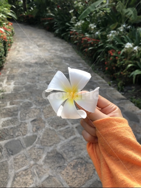 베트남,여행,휴가,휴양지,힐링