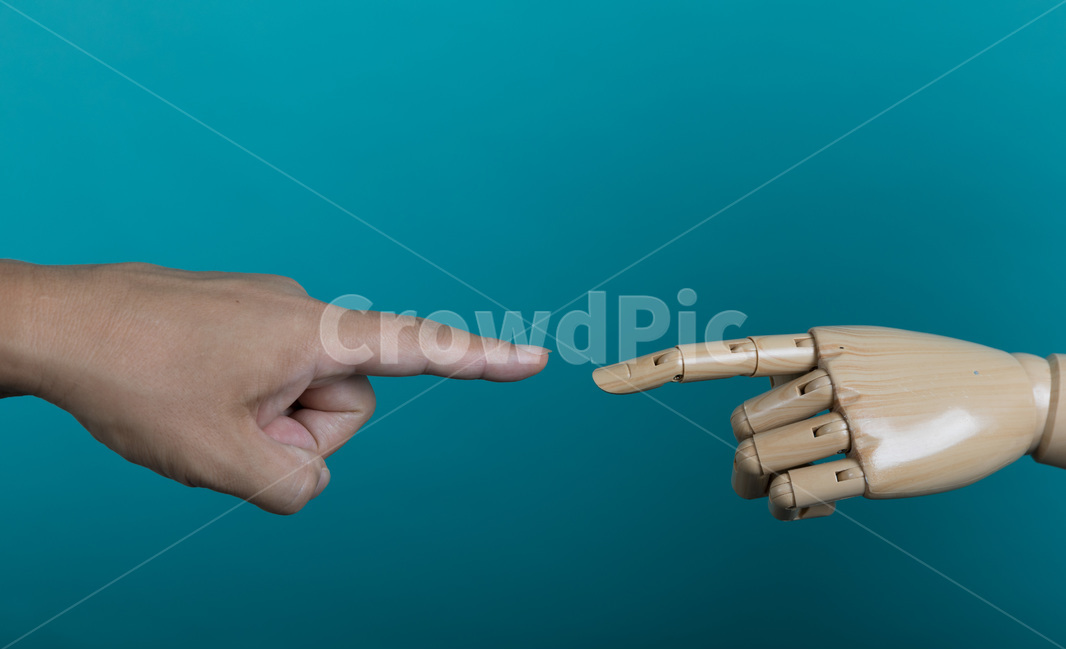 손,잡아,인간,비즈니스,개념,근접촬영,포인팅,마네킹,방향,인공,손가락,팔,관절,손톱,마주치다,hand,hold,human,business,concept,closeup,pointing,mannequin,direction,artificial,finger,arm,joints,nail,사람,인물,인간,human,person,손,제스처,표시,손짓,표현,gesture,hand,sign,expression,연출,컨셉,콘셉,direction,concept