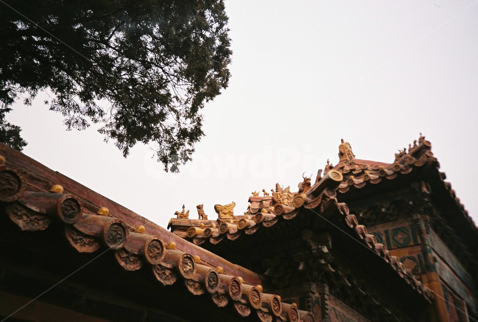 roof,지붕,중국,건축,건축물,중국건축