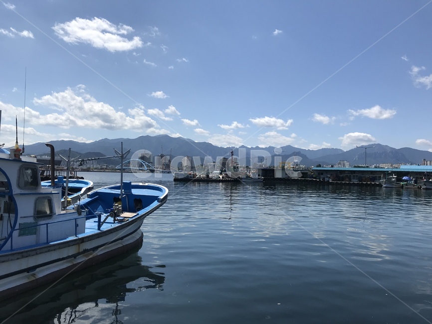 port,boat,pier,waterfront,워터프론트,선박,포트,dock,독,보트,바다,동명항