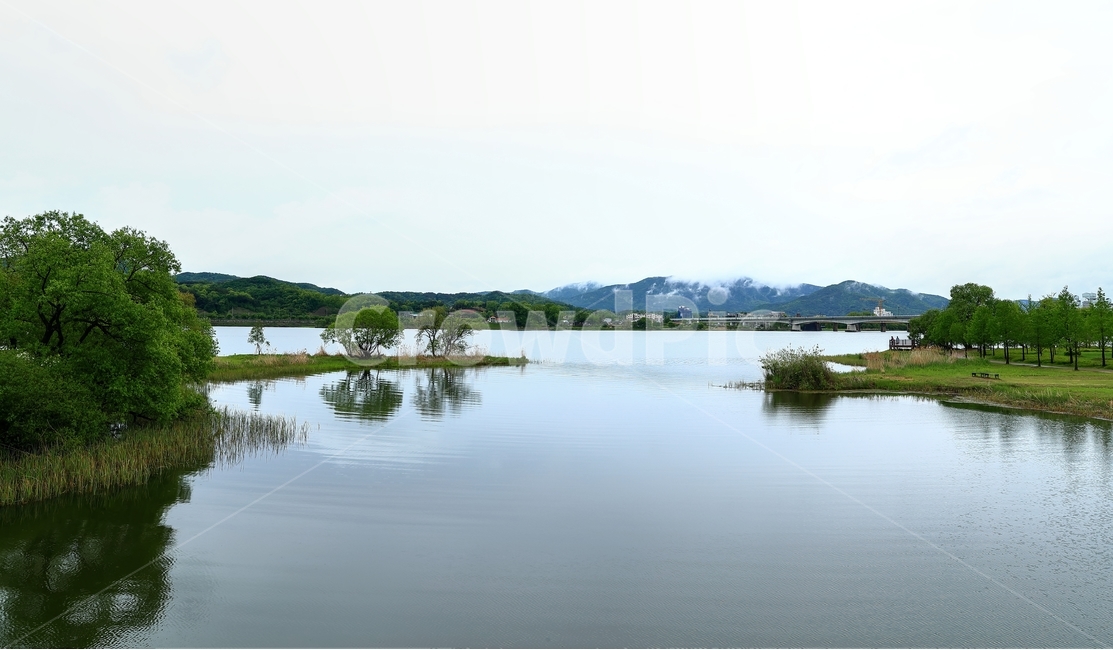 물의정원,양평,물,나무,북한강,자연,풍경,nature,landscape,water,outdoors,옥외