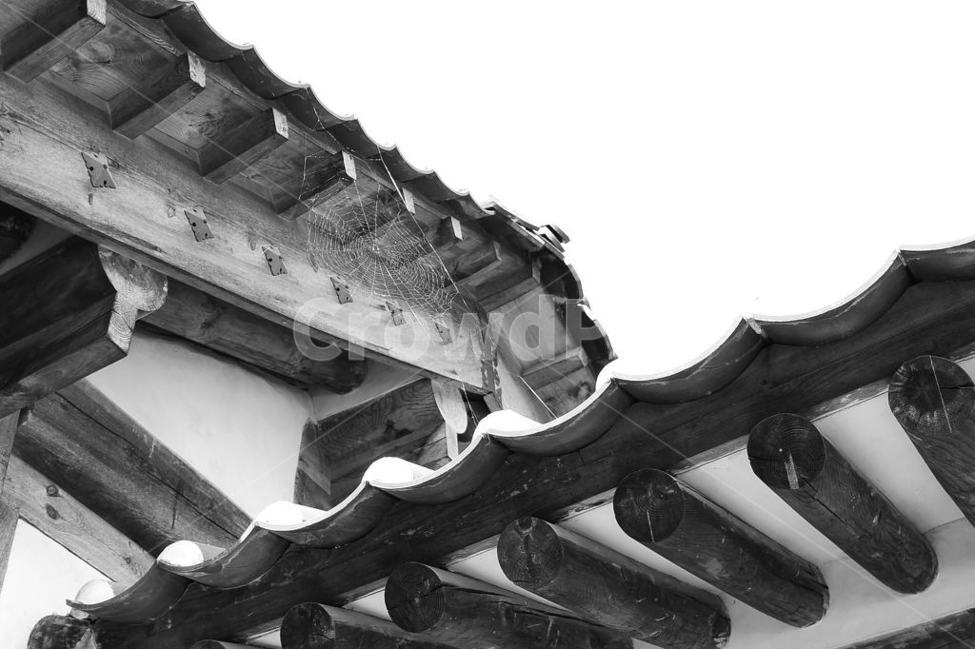 거미줄,흑백,기와,기와담,정통,흑백,모노톤,monochrome,black and white,건축물,건물외관,exterior,building,structure,architecture,construction