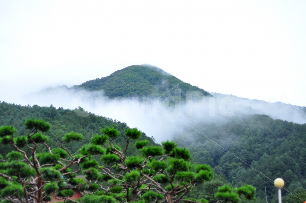 산,나무,새벽,안개,구름,하늘,mountain,trees,dawn,morning,fog,foggy,clouds,sky,자연,풍경,nature,landscape,여름,계절,summer,season,outdoors,옥외,tree,plant,식물,vegetation,초목