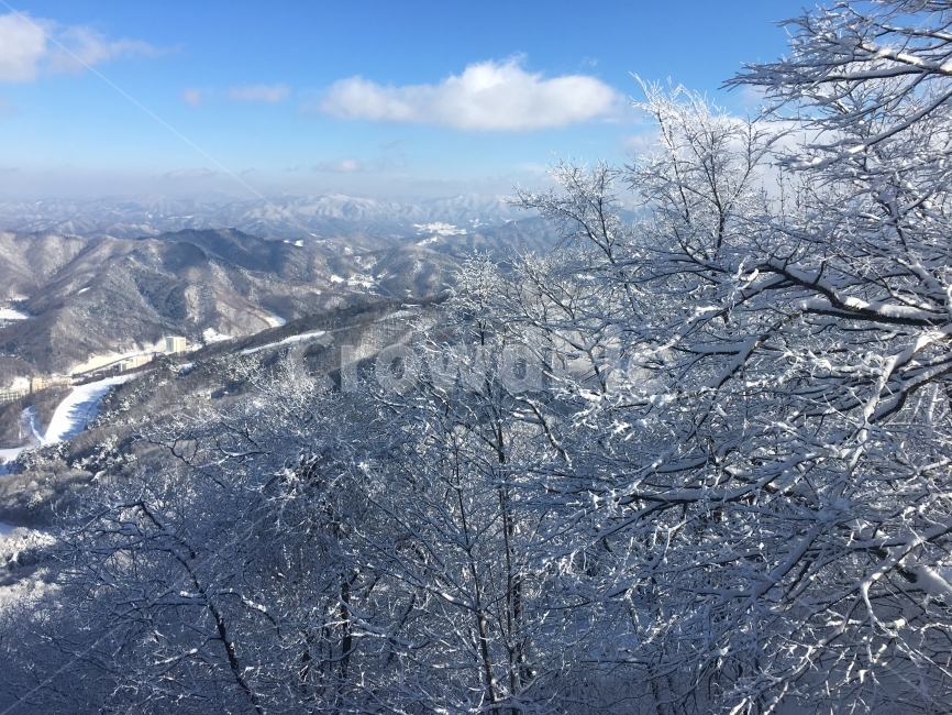 겨울,눈꽃,설산,스키장,스키,겨울나무,하늘,겨울,계절,winter,season,자연,풍경,nature,landscape,경치,outdoors,옥외,scenery