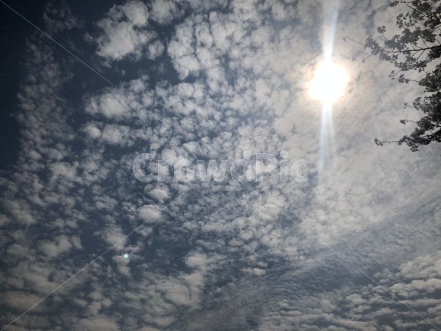 하늘,자연,구름,아침,sky