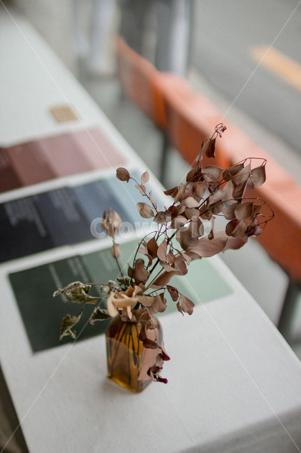 꽃,나뭇잎,감성,테이블,화병,소품,화분,emotion,film,flower,leaf,dry,건조한,실내용화초,화분,화초,house plant