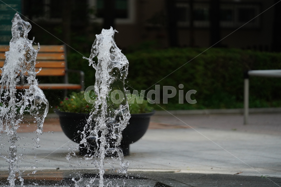 물,분수,워터,water,풍경,여름,계절,summer,season,fountain