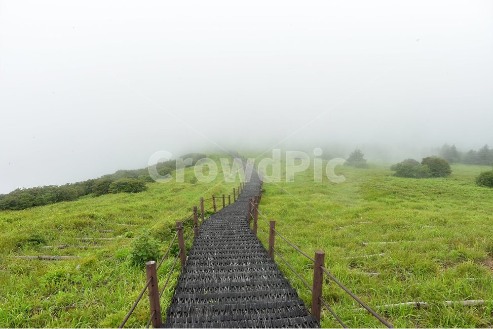 소백산,풍경,초록,자연,여름,경치,비경,등산,산행,힐링,아름다운,계절,명산,국립공원,nature,landscape,능선,구름,운해,자연,풍경,nature,landscape,outdoors,옥외,weather,날씨