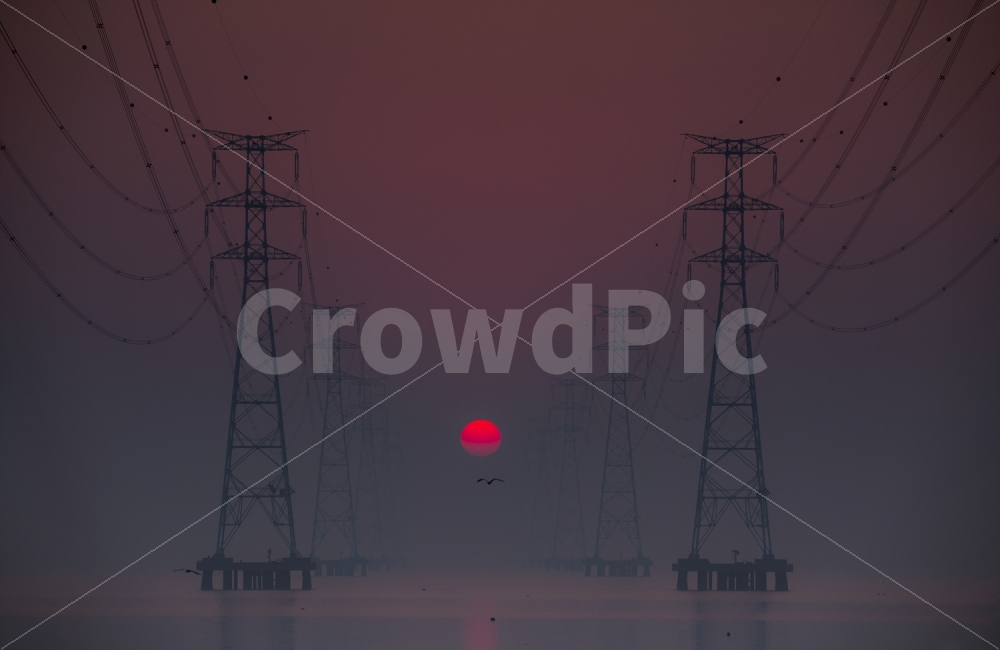 일출,시화호,철탑,갈매기,바다,자연,풍경,nature,landscape,산업,industry,industrial,에너지산업,energy industry,cable,케이블,power lines,전력선,electric transmission tower,송전탑
