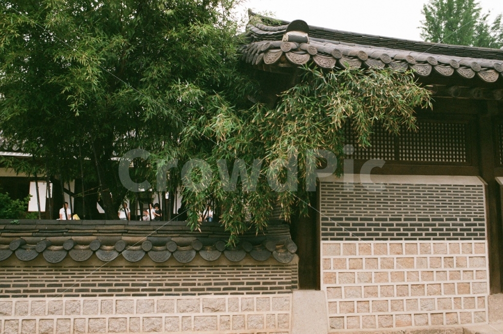 운헌궁,안국역,필름,고궁,풍경,풍경사진,스냅,스냅사진,필름사진,감성,감성사진,펜탁스,서울,나무잎,정갈함,여행,여행사진,고궁사진,서울사진,담장,옛스러움,seoul,travel,film,filmphotography,palace,한국전통,한국문화,korean traditional,korean culture,감성,sensible,feeling,건축물,건물외관,exterior,building,structure,architecture,construction