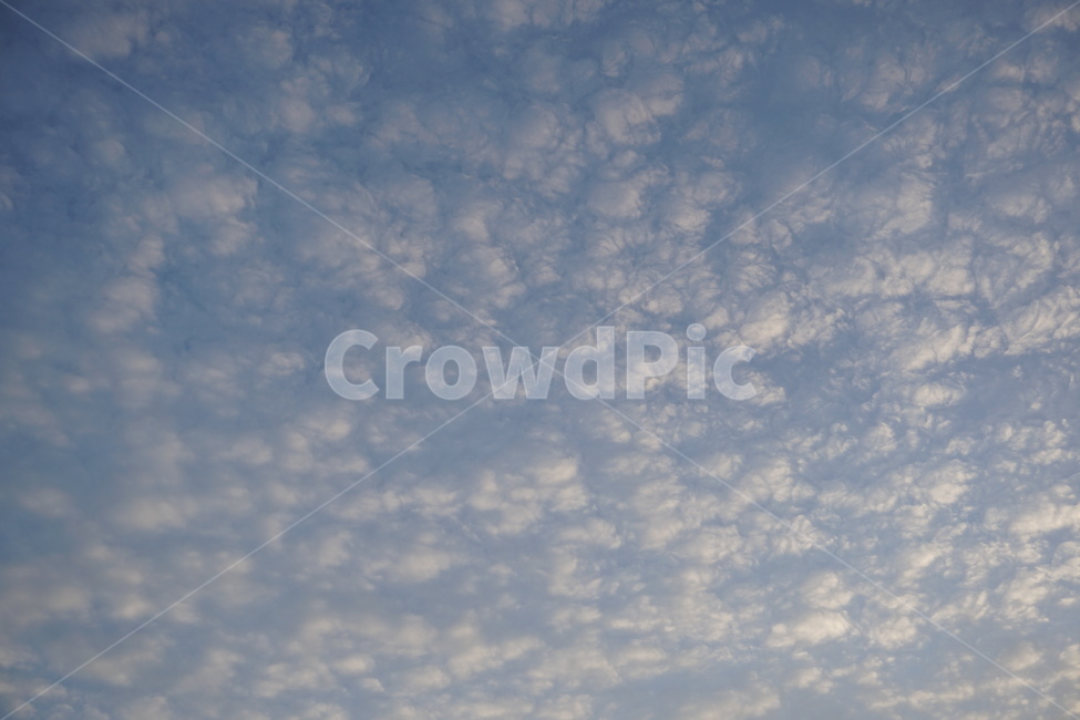 하늘,구름,sky,cloud,cloudy,솜사탕,일본,홋카이도,자연,풍경,nature,landscape,outdoors,옥외