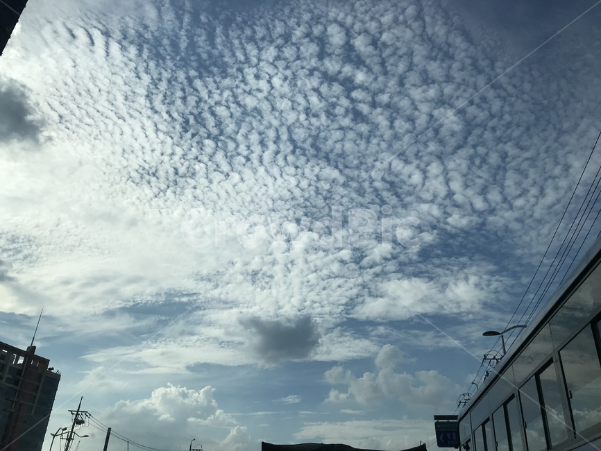 nature,자연,구름,cloud,sky,하늘,cumulus,적운