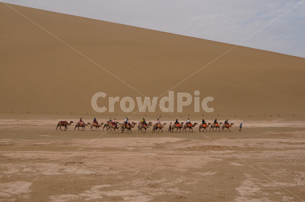 중국,사막,china,desert,sand,모래,자연,낙타,아시아,자연,풍경,nature,landscape,해외,외국,세계,foreign,oversea,world,세계자연풍경,해외자연풍경,외국자연풍경,world nature landscape,여행,휴가,traveling,vacation,trip,soil,흙,outdoors,옥외,dune,모래 언덕