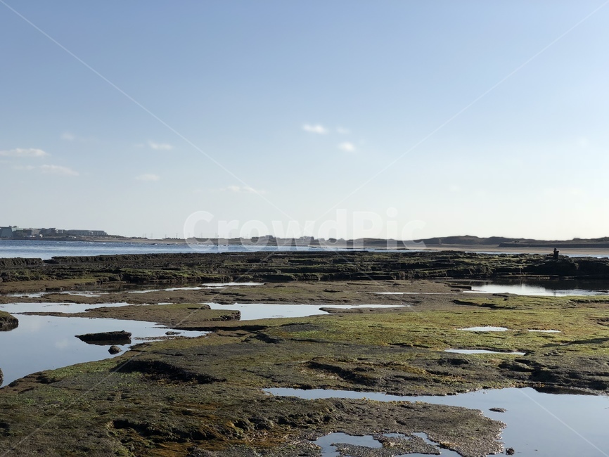 제주도,이끼,바다,수평선,자연,자연,풍경,nature,landscape,한국자연풍경,한국자연경관,korea nature landscape,제주도,jeju,jeju island,land,땅,outdoors,옥외,water,물