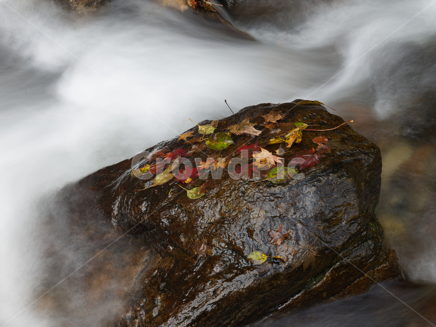 nature,자연,물,계곡,water