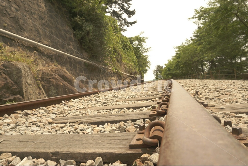 기찻길,철도,레일,railway,교통,traintrack