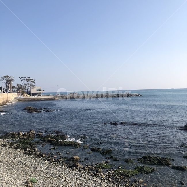 부산,기장,바다,풍경,전경
