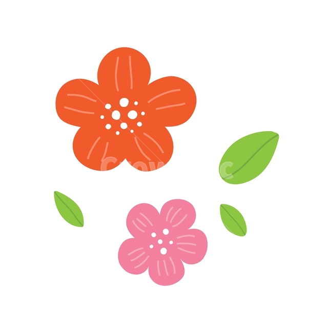 꽃,진달래,잎,봄,식물,자연,일러스트,귀여운,illustrarion,vector,flower,plant,spring,cute,design,pink,leaf,봄,계절,spring,season,그래픽,일러스트레이션,graphic,illustration