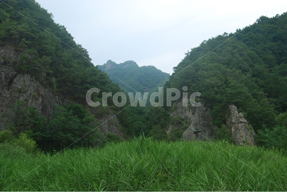 팔각산,탐방로,자연,봄,휴양림,자연,풍경,nature,landscape,한국자연풍경,한국자연경관,korea nature landscape,outdoors,옥외,slope,경사