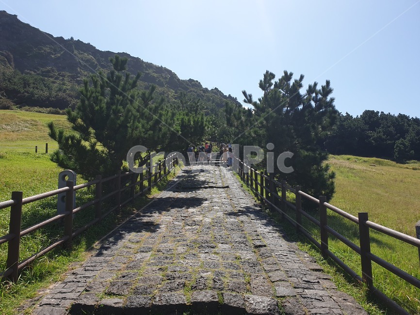 walkway,보도,path,통로,building,bridge,다리,자연,풍경,nature,landscape,건물