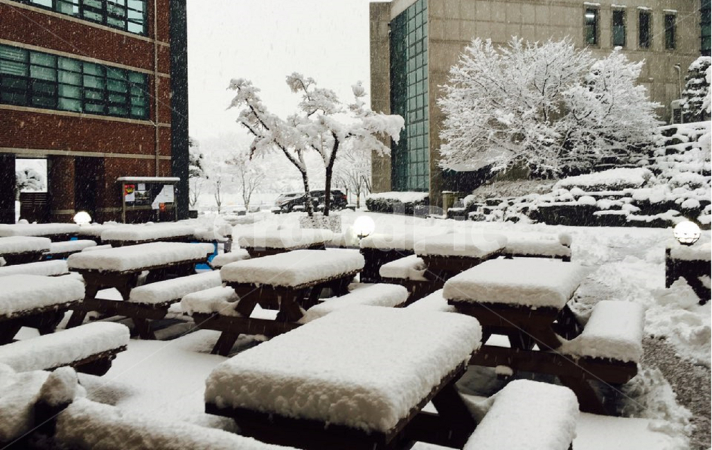 옥외,snow,눈,winter,자연,쌓인눈,야외식당,눈덮인책상,폭설,느낌,feeling,겨울,nature,동아방송대