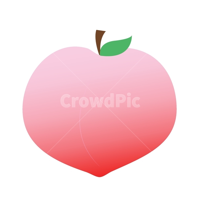 Peach illustration,fruit illustration,fruit,peach ai,peach,ai,illustration