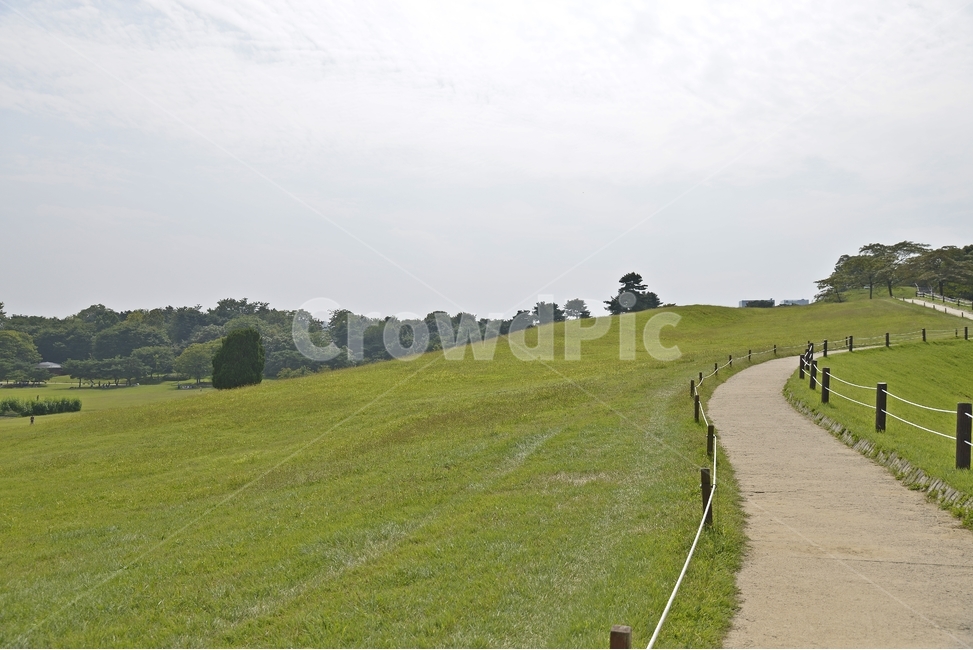 풍경,길,도로,잔디,경치,잠실,공원,올림픽공원,나들이,피크닉,자연,풍경,nature,landscape,outdoors,옥외,field,들