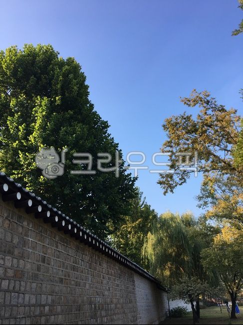 돌담길,돌담,하늘,담벼락,sky,나무