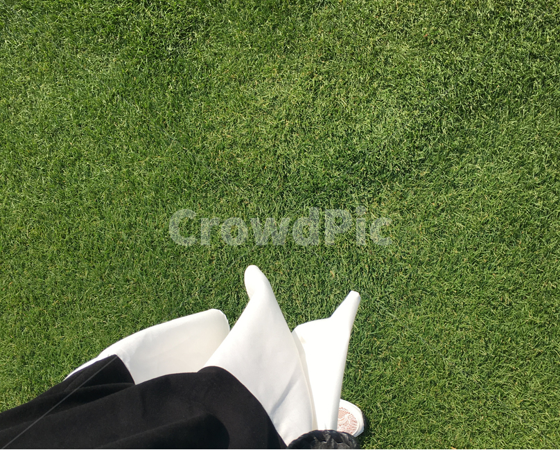 여름,계절,감성,green,분위기,느낌,white