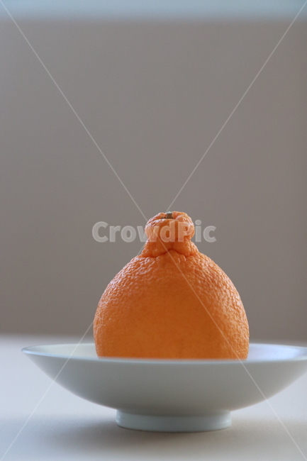 food,음식,fruit,과일,감귤류과일,citrusfruit,제주도,한라봉,귤,감귤,과일선물,선물과일,고급과일