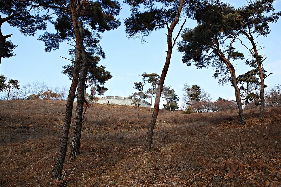 광성보,손돌목돈대,진,성곽,담,돌담,겨울,식물,자연,풍경