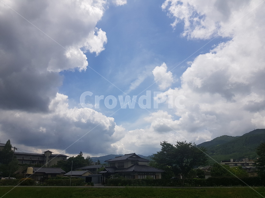 구름,grass,잔디,plant,식물,nature,자연,weather,날씨,sky,cumulus,outdoors,하늘,cloud