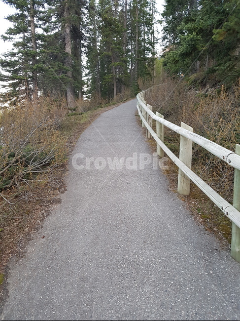 오솔길,오르막길,길거리,등산,길가,울타리