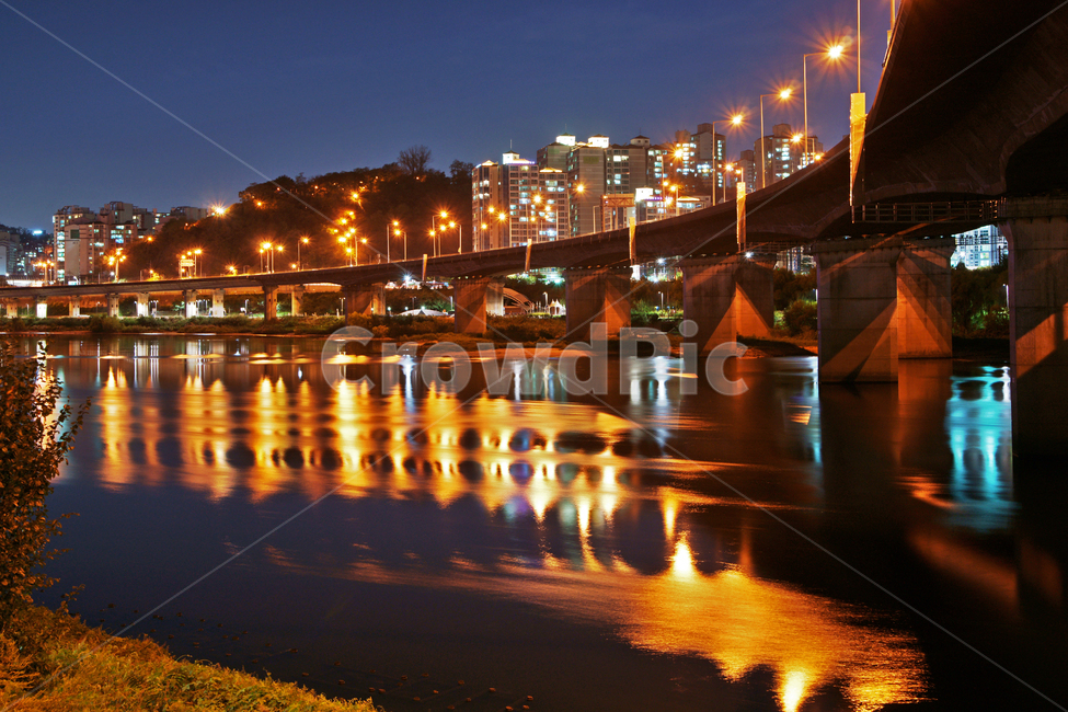 야경,교량,용비교,뚝섬로,중량천,반영,야경,밤,풍경,nightscape,night,landscape