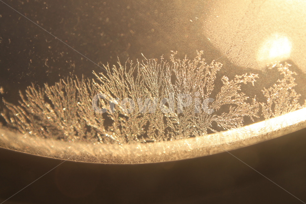 서리,꽃,창문,frost,서리꽃,frostflower,flower,planewindow,airplanewindow,겨울,계절,winter,season