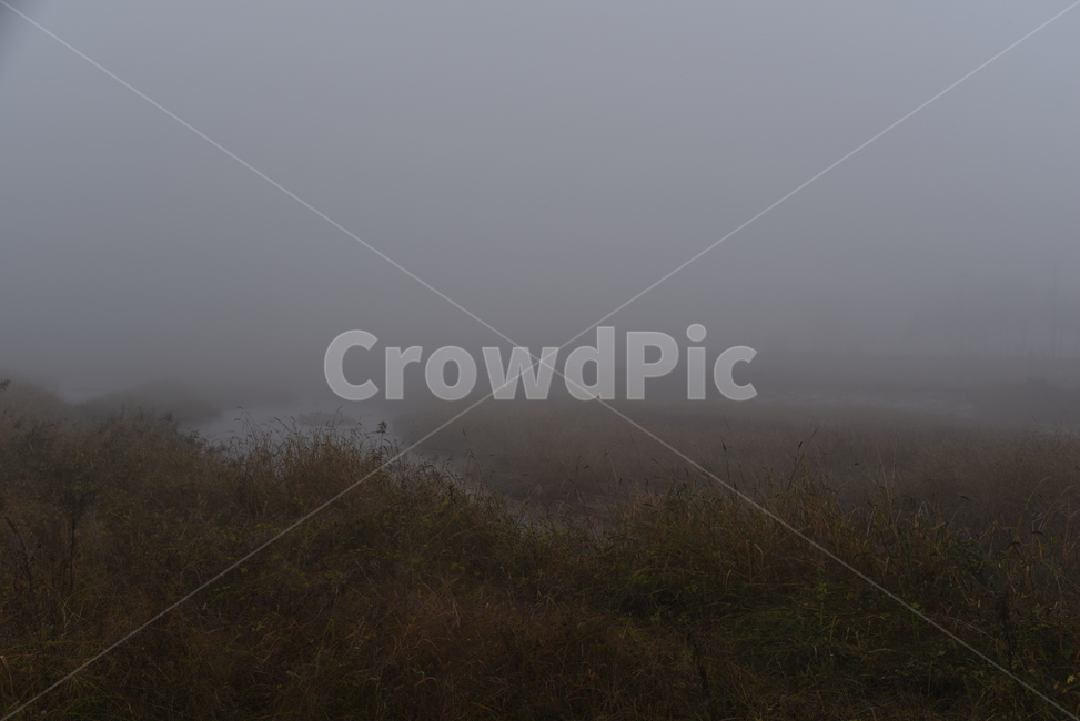 안개,nature,자연,fog,mist,가을,풍경,자연,풍경,nature,landscape