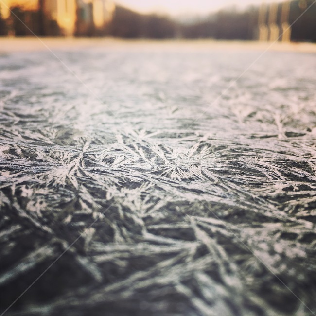 얼음,ice,겨울,서리,frost,시원한느낌,차가운느낌,감성사진,겨울,계절,winter,season