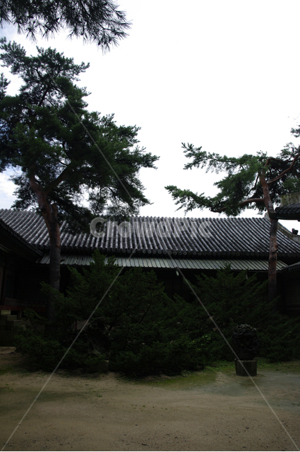 창덕궁,고궁,전각,한옥,전통가옥,기와지붕,건축,traditional,한국전통,한국문화,korean traditional,korean culture,랜드마크,landmark,tourist attraction,한국랜드마크,한국관광지,한국명소,korea landmark,korea tourist attraction,건축물,건물외관,exterior,building,structure,architecture,construction