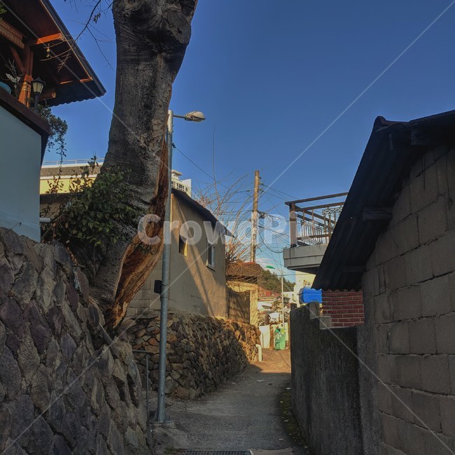 골목길,추억,아침,산책,일상,감성,골목길,alley,walkway,보도,path,통로