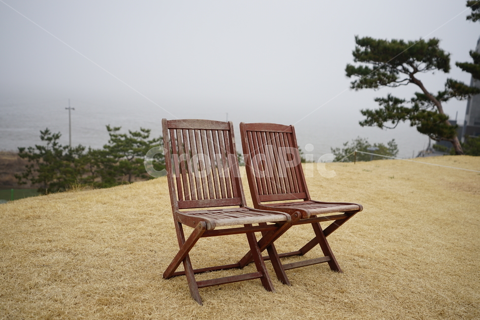 의자,chair,휴식,쉼,쉼터,풍경,풍경사진,커플,둘,나무,경치,휴식공간,two,사물,물건,오브젝트,thing,object,matter