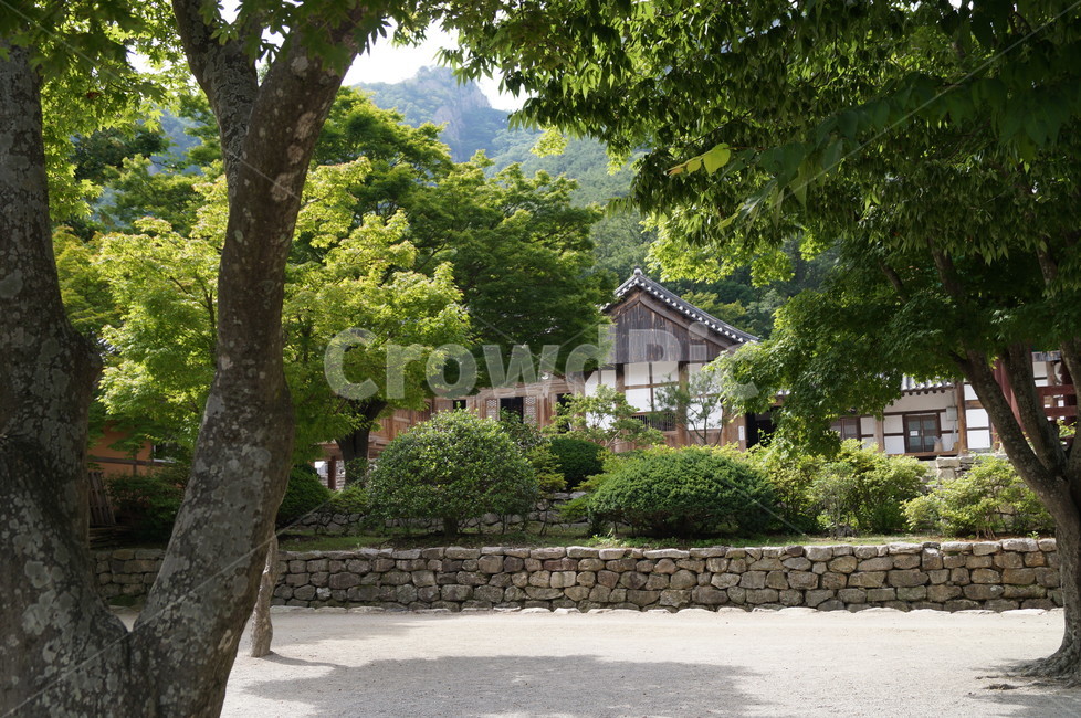풍경,내소사,나무,절,사찰,자연,한국전통,한국문화,korean traditional,korean culture,건축물,건물외관,exterior,building,structure,architecture,construction