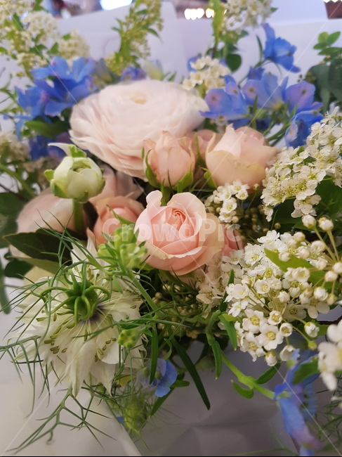 plant,식물,flower,꽃,꽃선물,꽃부케,선물,blossom,꽃,flower