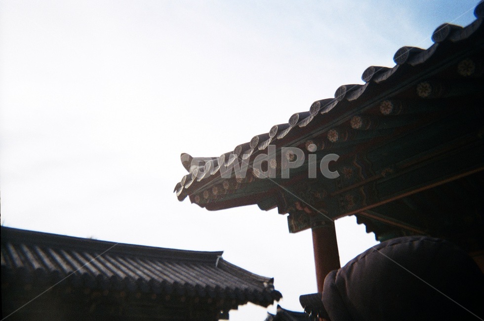 한옥,지붕,처마,하늘,집
