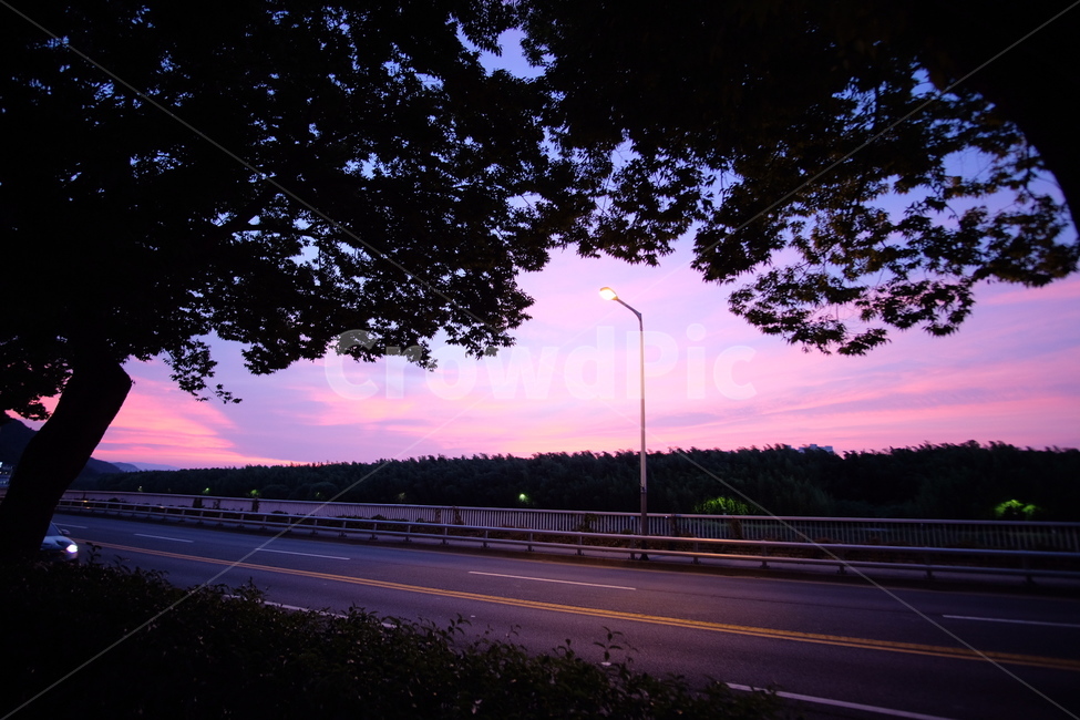 노을,가로등,퇴근길,하늘,보라색