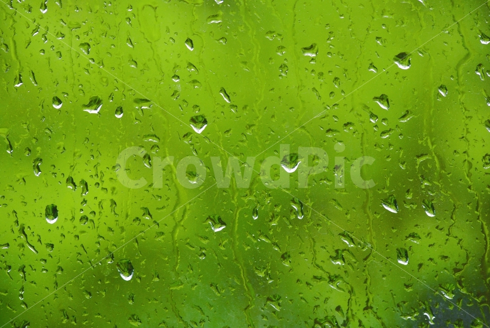빗물,유리창,비오는날,레인,rain,창가,외로움,비내리는날,우요일,상념,바라보다,쓸쓸함,고독,생각,감정,감성,디자인,필,느낌,분위기,서정,슬픔,우울,그리움,옛생각,회상,기억,추억,색감,칼라,시안,디자이너,사보,카다로그웹,홈페이지,배너,팝업,모바일,콘텐츠,마케팅,오브젝트,이미지,반사,흐르다,그라데이션,색상,h2o,sns,블로그wkqwl편집,출판,바탕,배경,백그라운드,수분,습기,촉촉,방울방울,그린톤,녹색,비,비오는날,rain,rainy,감성,sensible,feeling