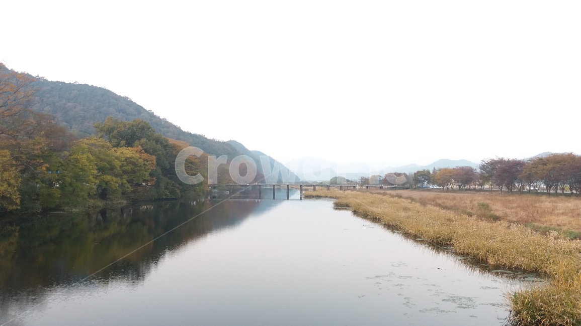화순,나무,다리,연둔리숲정이,가을